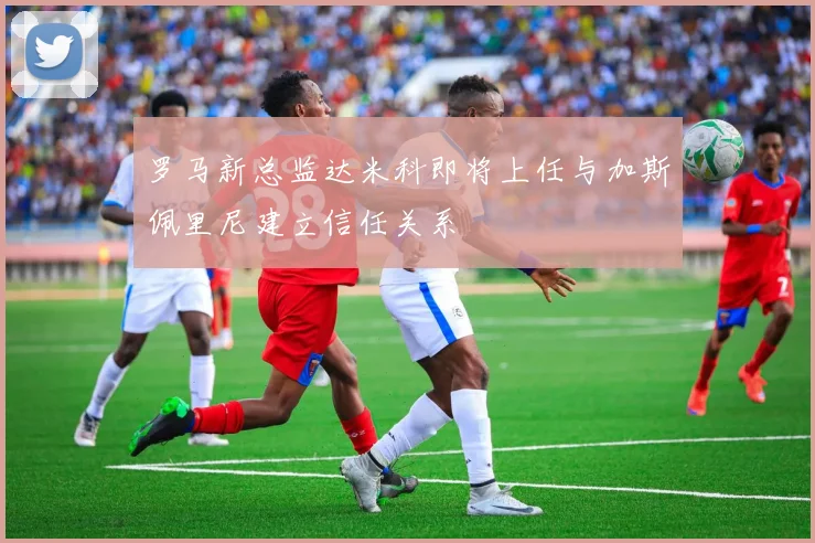 罗马新总监达米科即将上任与加斯佩里尼建立信任关系